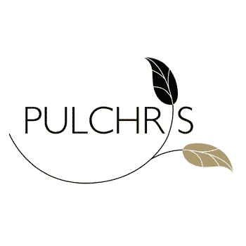 Pulchris Kosmetik Social Media Coaching